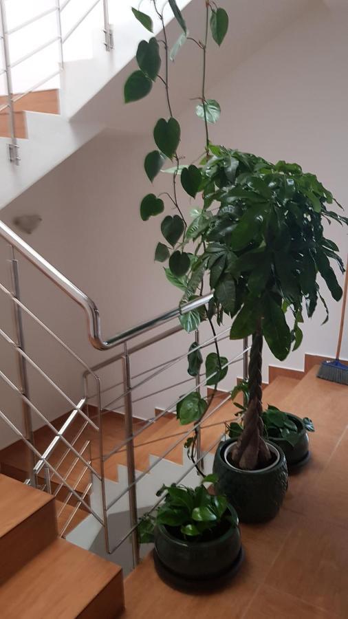 Dativo House Năvodari Esterno foto